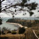 탄도 섬마을 이미지