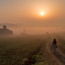 여명목장 이미지