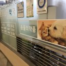 환승센터약국 이미지