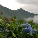 농부의 정원 이미지