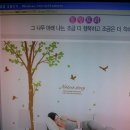 포인트 벽지 스티커(테마 3개)-판매완료 이미지