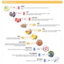 팔.칠유통 이미지