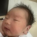 안암3 | 고대안암병원 제왕절개 출산, 입원 후기 #3