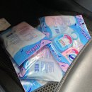 홍이네농장 이미지