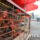 한산건강원 - 평택시 판교길 23 | 한산건강원
