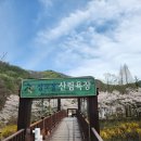 유아숲체험원(1) | 대전 상소동 산림욕장 유아숲체험원 네트놀이터 후기 | 익산 네트놀이터 느낌? 아이랑 가볼만한곳