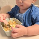 아기밥상 | 23개월 아기 밥상템 나물과 아기김치 후기
