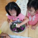 서부초등학교병설유치원 네이버블로그