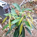 인화농장 이미지