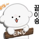 털찐강아지 이미지