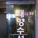 태양수선 이미지