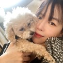 115-2-000001 | 내 사랑이랑 호프랑 가평애견글램핑 가평글램핑 숙소후기