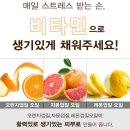 은광에프엔씨 | 렛미스킨 비비쿠션+물광미스트+립틴트 스위티 단독구성:)