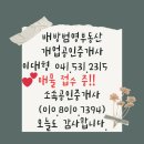 얌샘김밥아산배방점