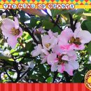 간촌공원 이미지