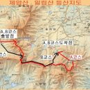 제11회차:보성,사자산(668m)일림산(562m)-철쭉 이미지