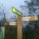 시호천약수터 이미지