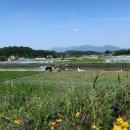 객기리마을회관 이미지