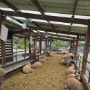 와포햇살 영농조합법인 | 지역투어패스, 이건 진짜 혁신! 비용은 절감, 효율은 최고