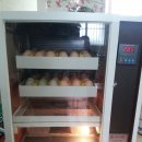 월천농장 이미지