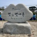 초록빛언덕글램핑 | 태안 글램핑 추천 비비아트글램핑 감성 숙소 찾는다면 여기!