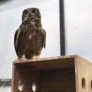 자연에 품 이미지