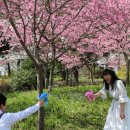 신평동367 네이버블로그