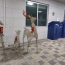 다원이음터 실내 체육관 이미지