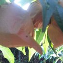 신후농장 이미지