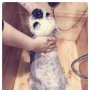 365 신원당 동물병원 이미지