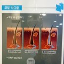 웰킨 목동점