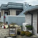 모카커피 | 경주 감포 가볼만한 감성 카페 모카커피 모카로즈 촉촉코코넛 후기