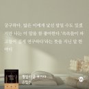 주식회사 씨에이치앤미디어그룹 | 평범한 사람도 특별하게 살 수 있는 방법을 알려주는 《평범이 곧 무기다》 - 손힘찬 (오가타 마리토)