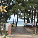 등명해변(철길옆) 이미지