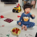 24개월 아기 영상 노출 없이 가정보육 했던 하루 집콕놀이