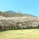 삼랑진발전처 이미지