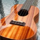 우쿨렐레(중급) 이미지