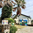 하도리 사무소 | 제주도펜션 제주도키즈펜션 애드리랑 국내여행떠나고 싶을 때 가성비 숙소 가격 위치 후기