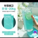 파인식품 | 다이어트 알고리즘 노예가 되었어요 다이어트총정리ft,퀘르파인후기,림데이후기,패치잇후기