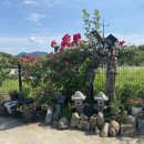 공검한우마을 이미지