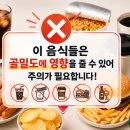 웰디렉터