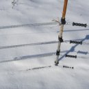 철수농장 이미지