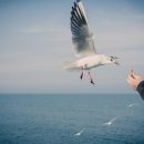 하서4리 이미지