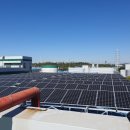 단원에너지 태양광발전소 이미지