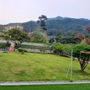 꽃밭머리 스테이 이미지