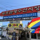 [속초 맛집] 속초 중앙시장 맛집 서민갑부 똑이네 튀김 오징어순대 닭강정 후기
