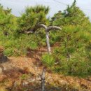 구암동387 이미지