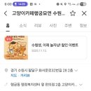 수원-0324 이미지