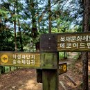 용인자연휴양림 이미지