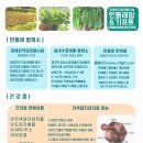 민들레팜&기프트